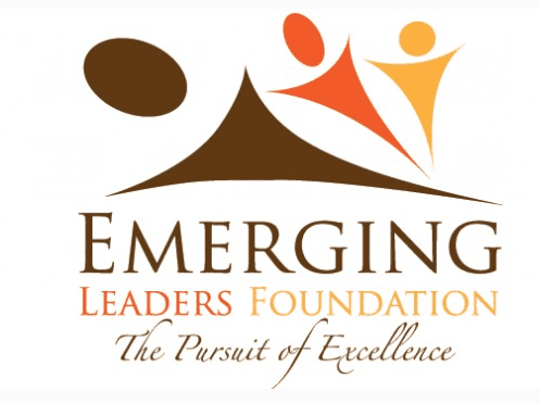 emerging-leaders-foundation-mentorship-programme-2015